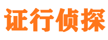 安居市私家侦探